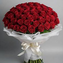 Букет 101 Красная роза Блэк Мэджик в Краснолипье