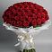 Букет 101 Красная роза Блэк Мэджик в Краснолипье