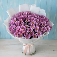 Букет цветов из:  Хризантемы в Краснолипье