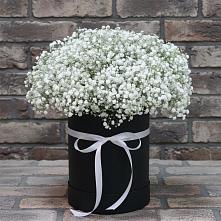 Цветочная композиция из Гипсофила в шляпной коробке #REPLACE_PRED# Краснолипье