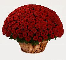 Премиум букет из: Розы в Краснолипье